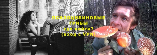 спайс Алексин