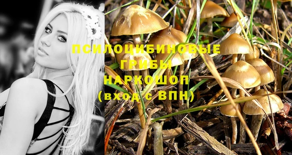 спайс Алексин