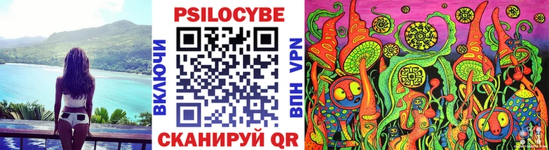 Псилоцибиновые грибы мухоморы  Купить закладки  Дубна 